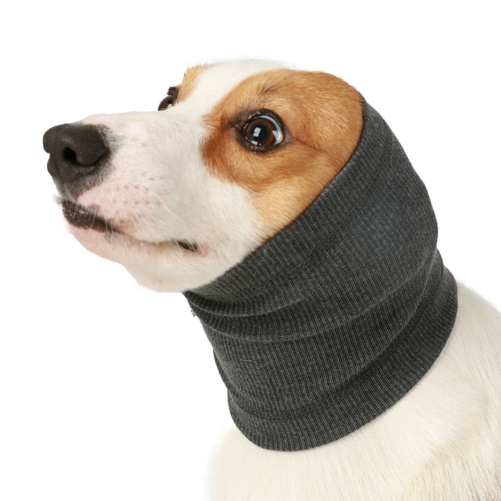 Dog wearing a blue knitted calming snood ear cover