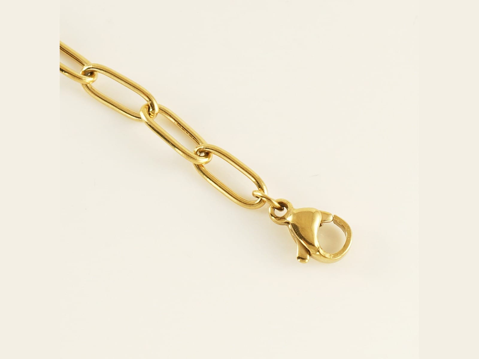 Paperclip Anklet — detail