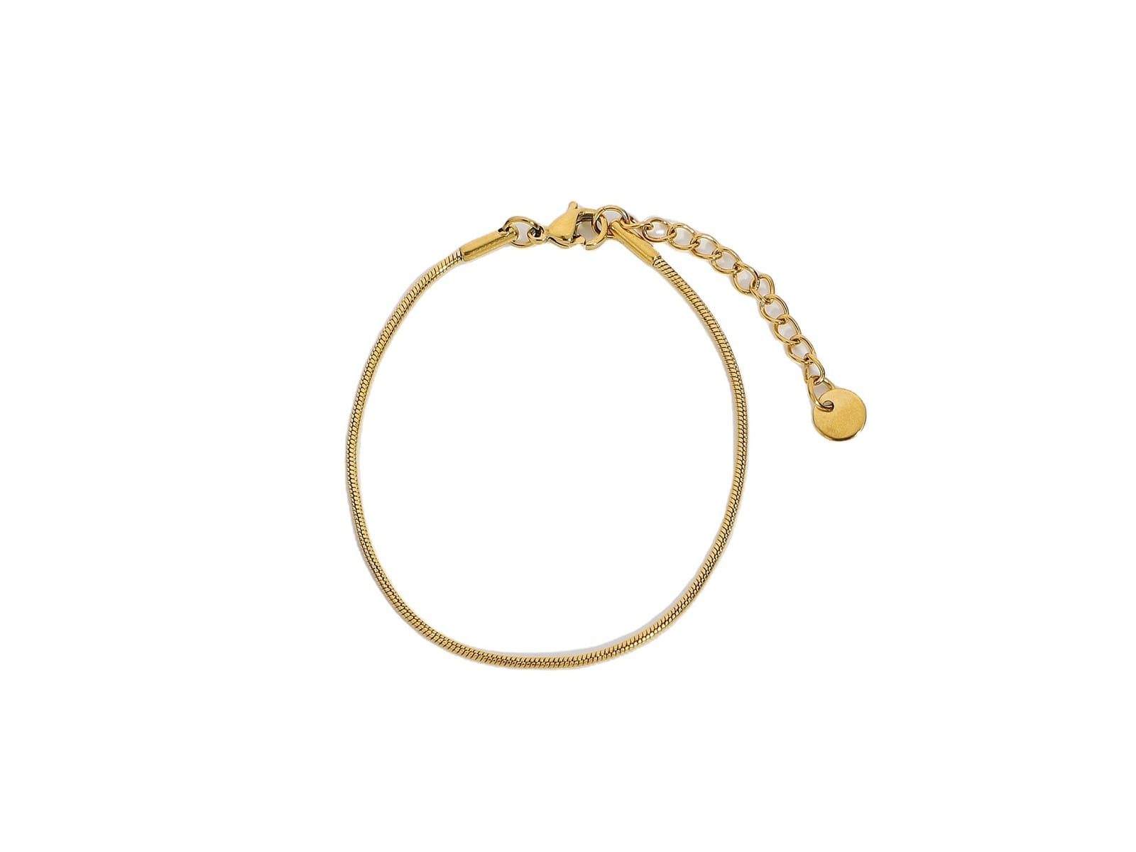 Snake Chain Bracelet